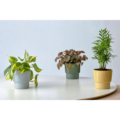 Medium Planter in Moss Green