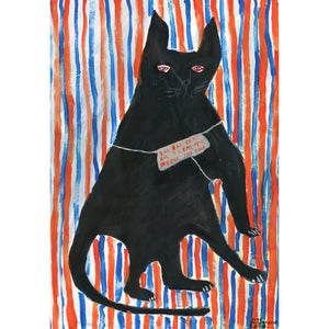 Bad bad cat. Has fleas and worms, stay back.
