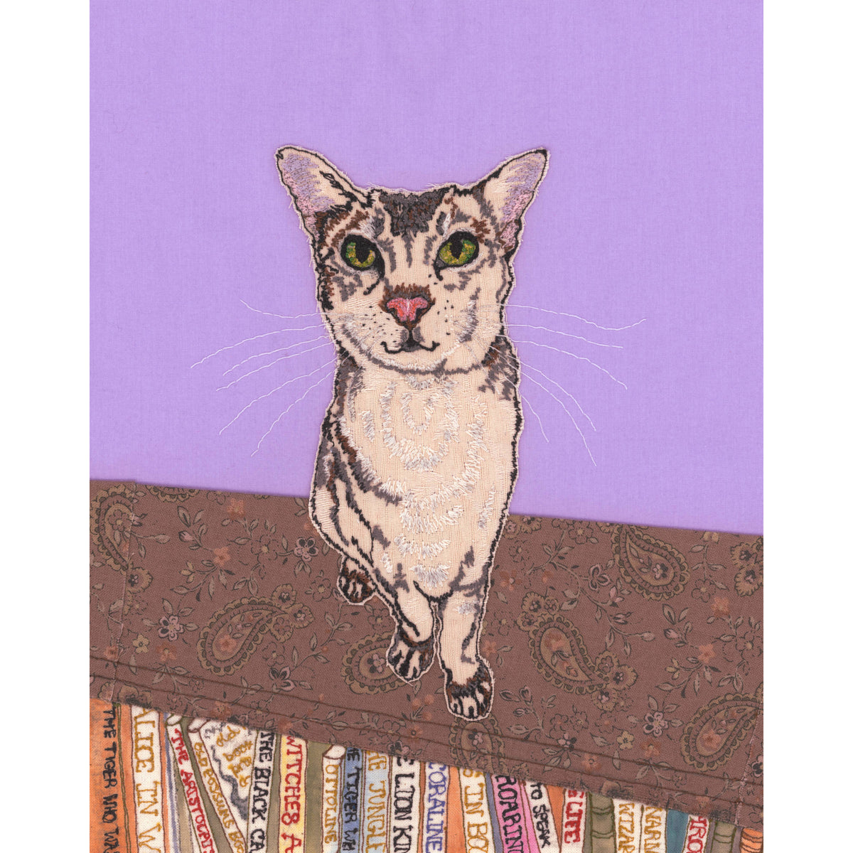 Benjy The Birthday Cat