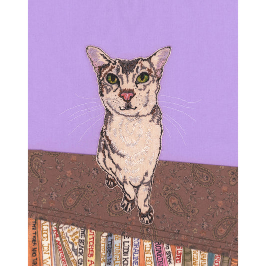 Benjy The Birthday Cat