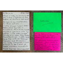 Load image into Gallery viewer, Brooch - On a Ledge made by Amanda Doughty commissioned by Lucy Anderson