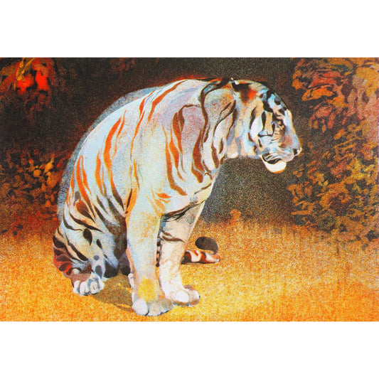 Tiger in The Bear Rainforest
