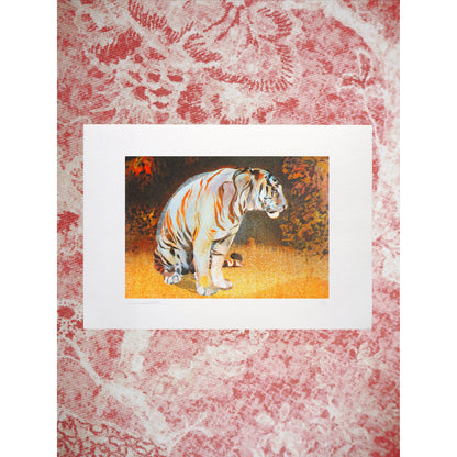 Tiger in The Bear Rainforest