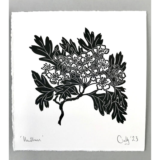 Hawthorn Print