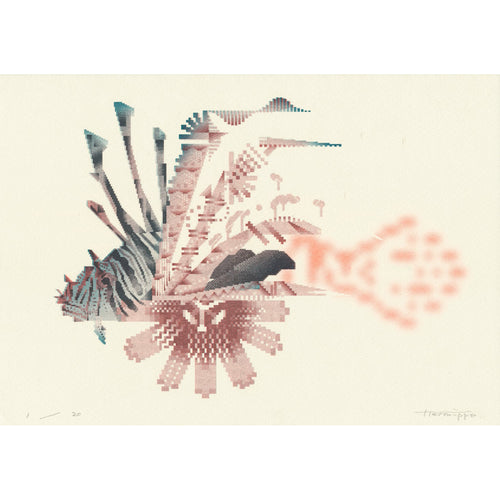 ミノカサゴ (Lionfish) Print