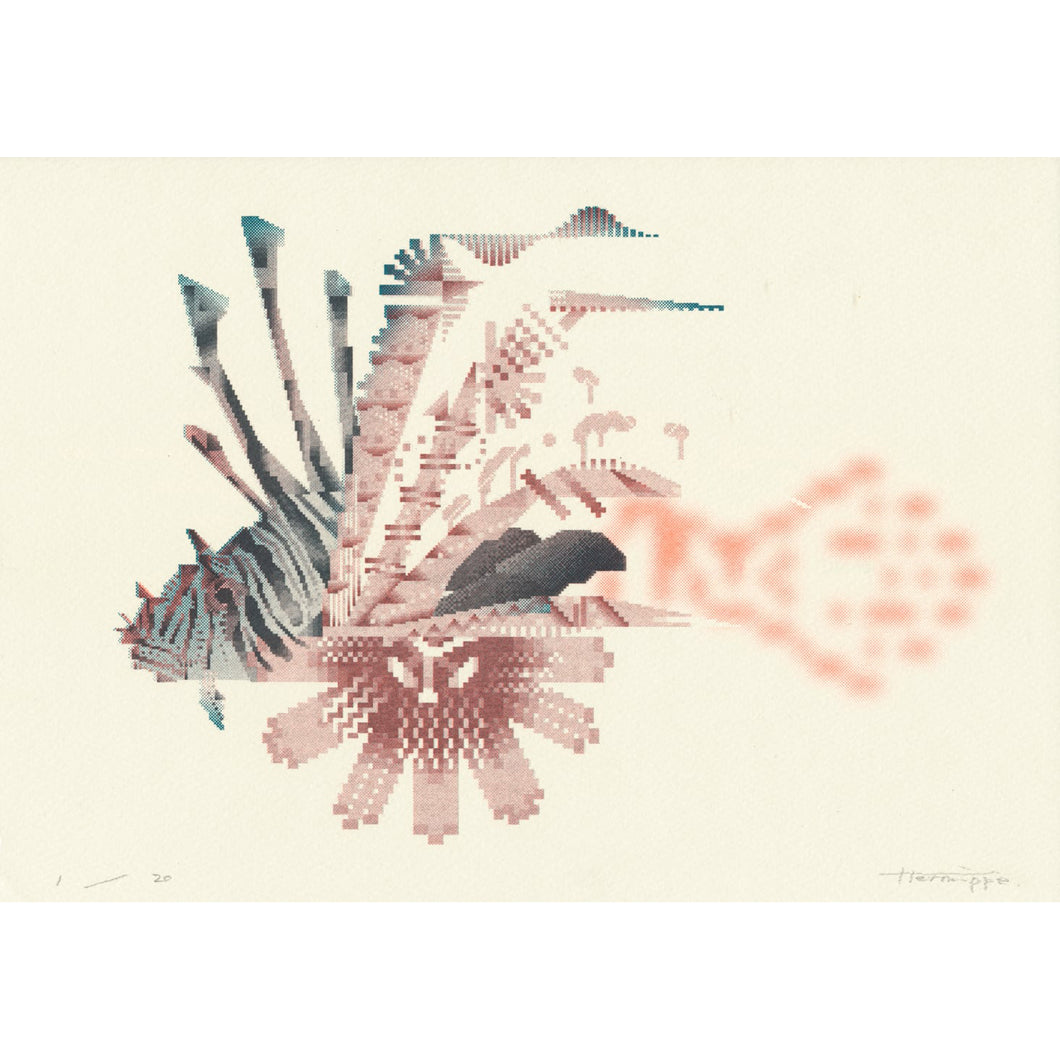 ミノカサゴ (Lionfish) Print