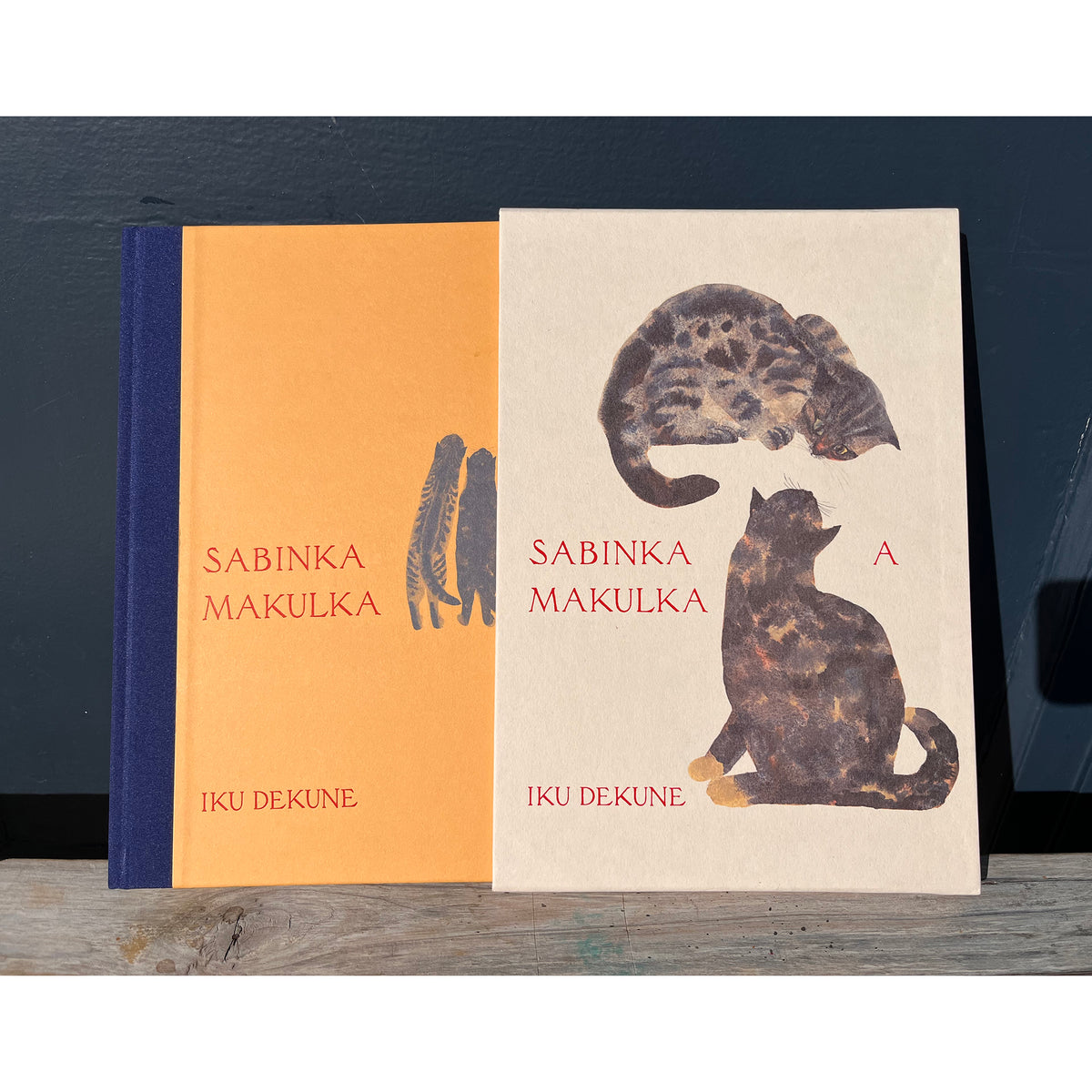 Sabinka a Makulka Art Book