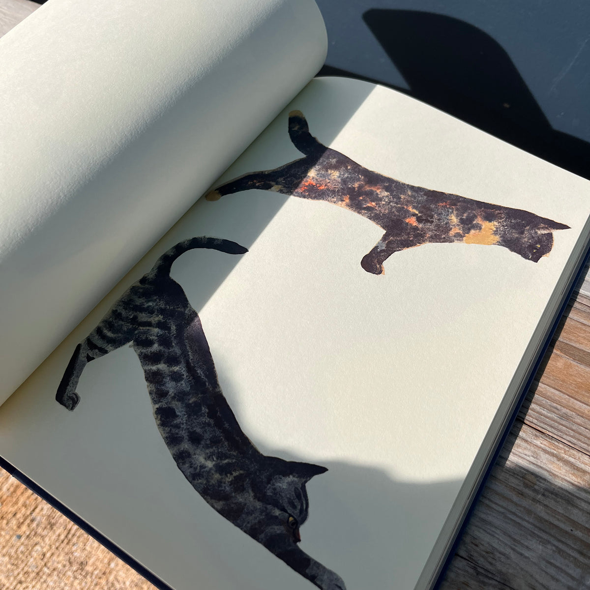 Sabinka a Makulka Art Book