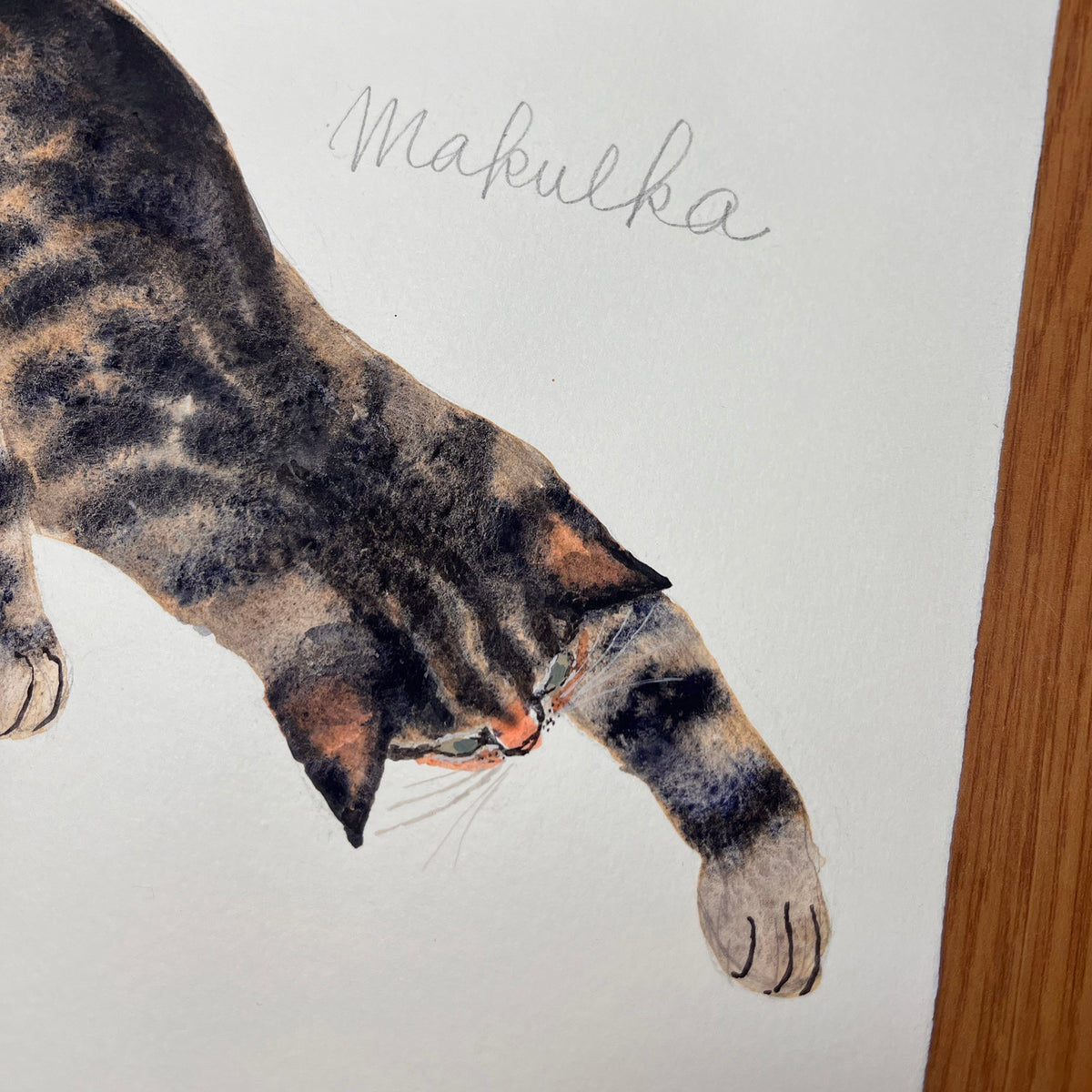 Makulka