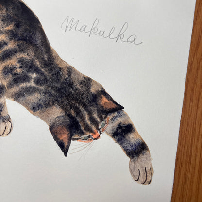 Makulka