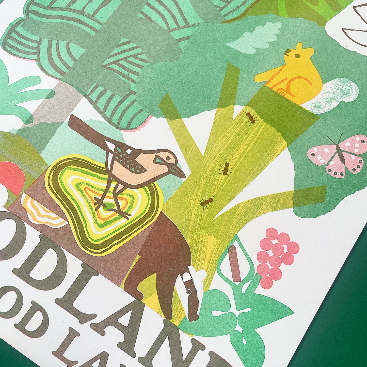 Woodland is Good Land