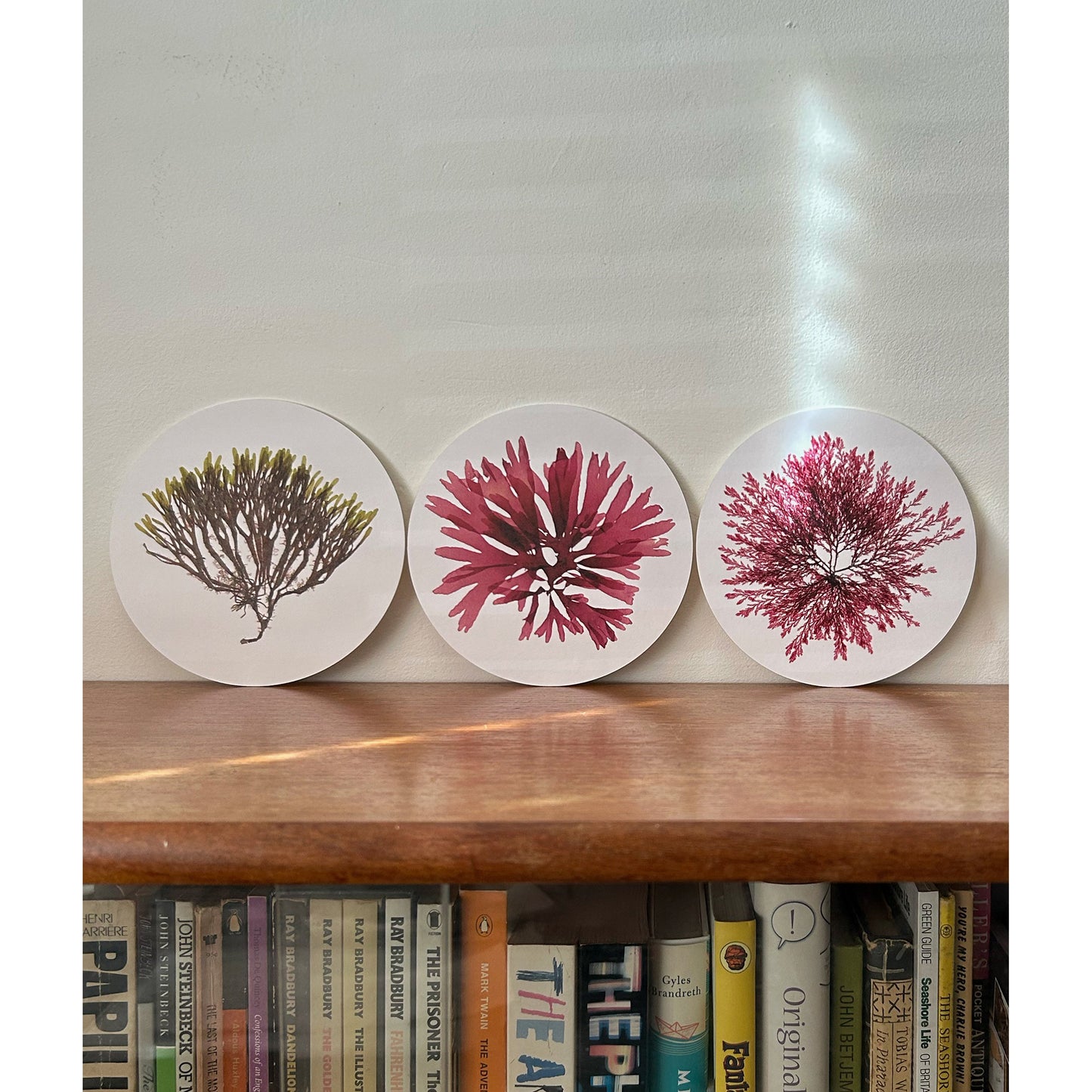 Seaweed Print Mantelpiece Card Set