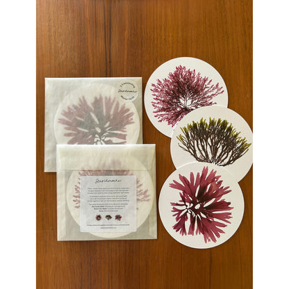 Seaweed Print Mantelpiece Card Set