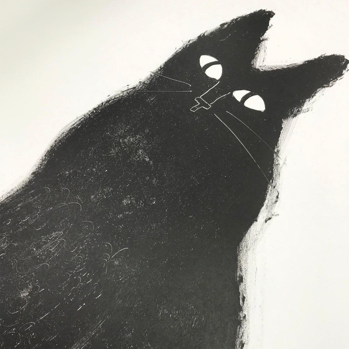 Big Black Cat