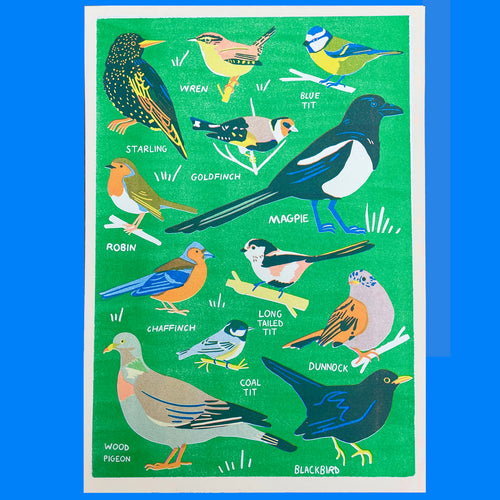 Garden Birds Print