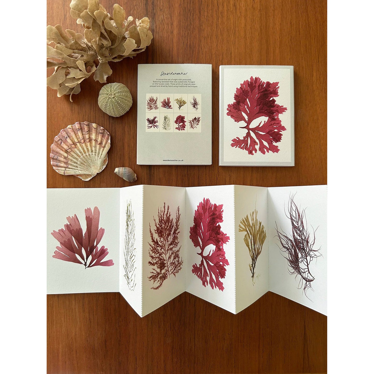 Seaweed Design Mini Postcard Set