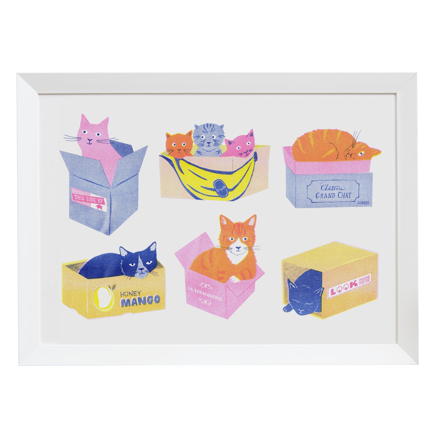 Cats in Boxes
