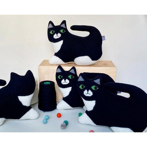 Black and White Cat