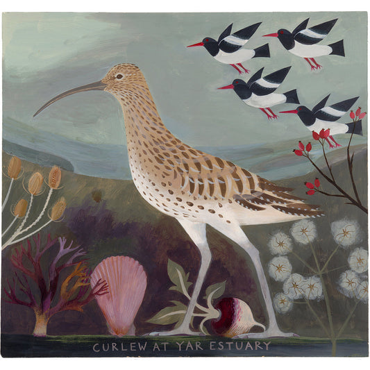 Curlew
