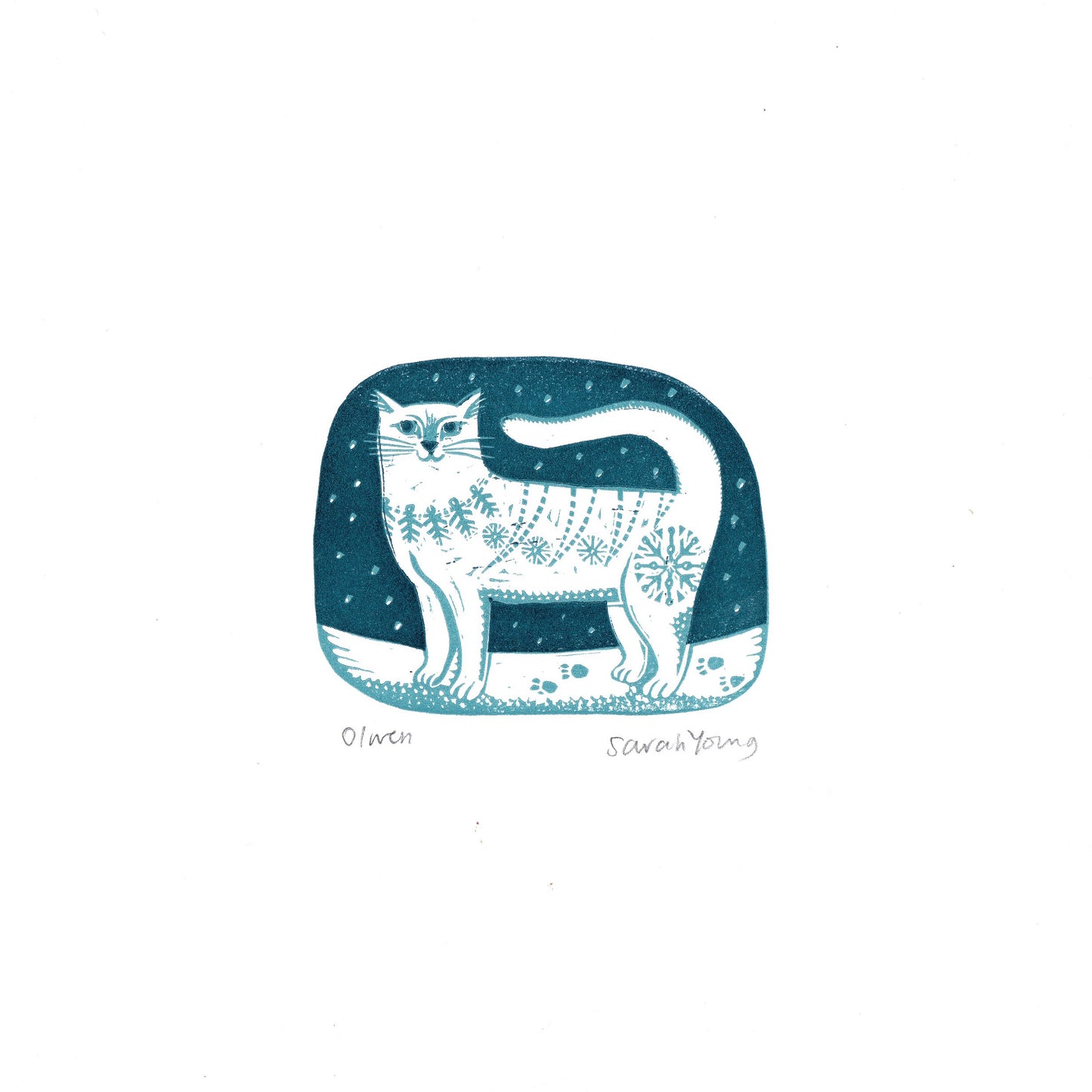 Olwen the Cat