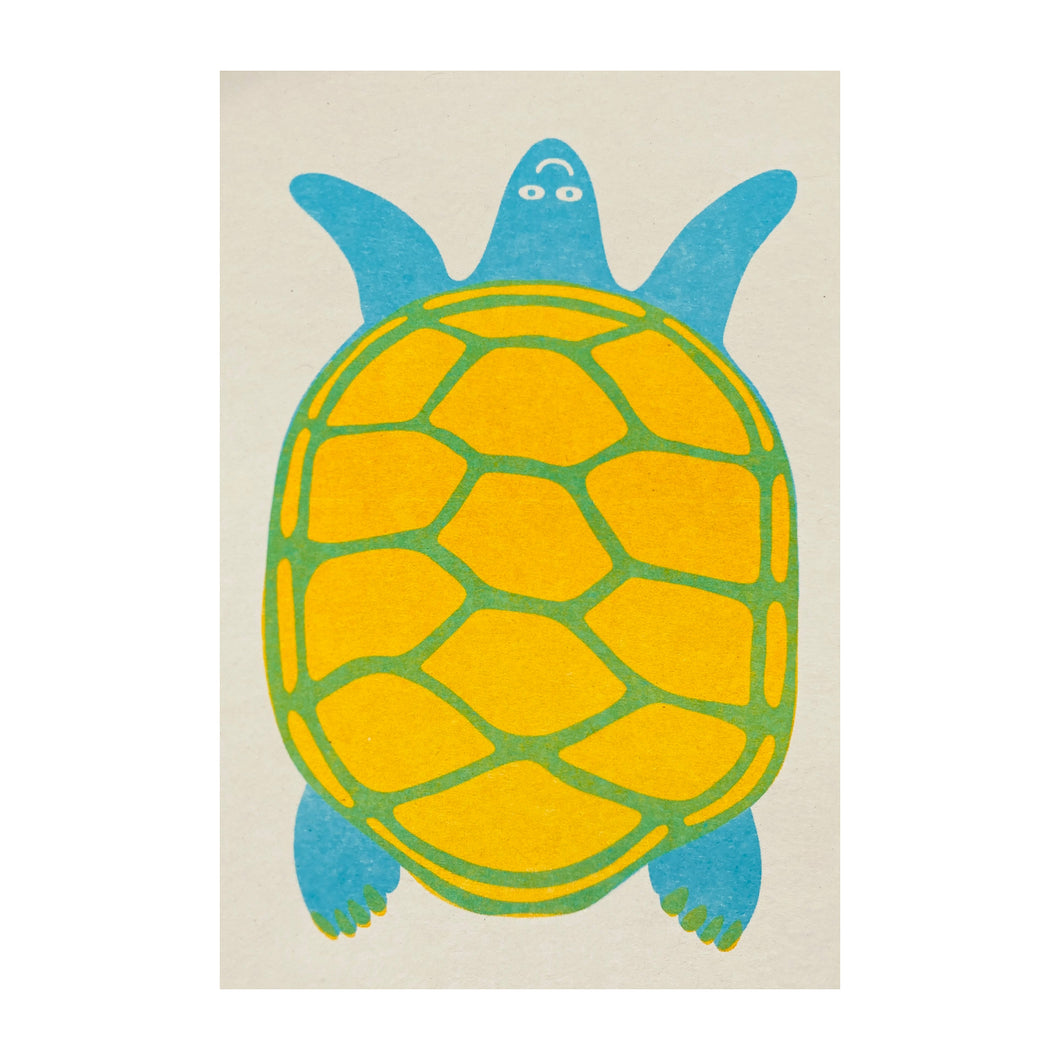 Turtle Greeting Card