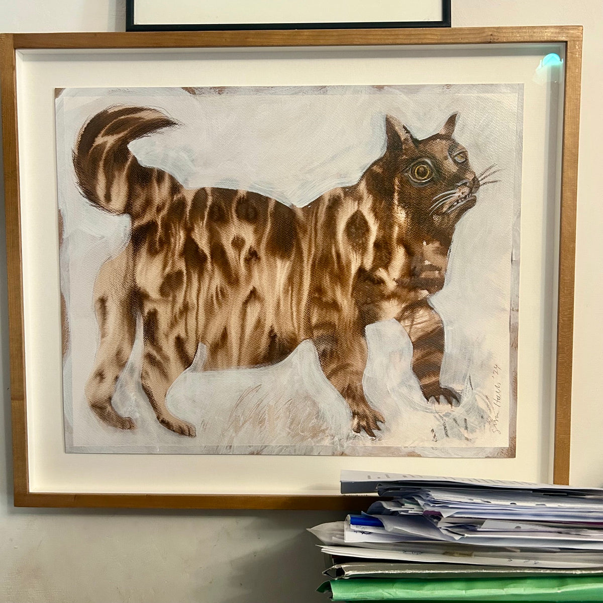 Tabby Cat
