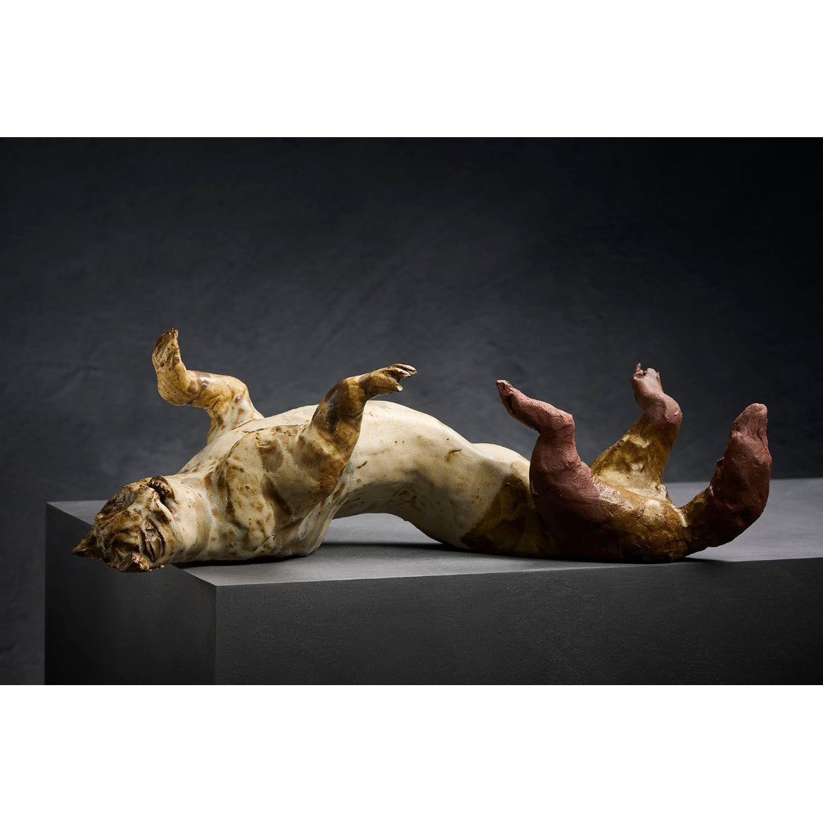Frolicking Cat