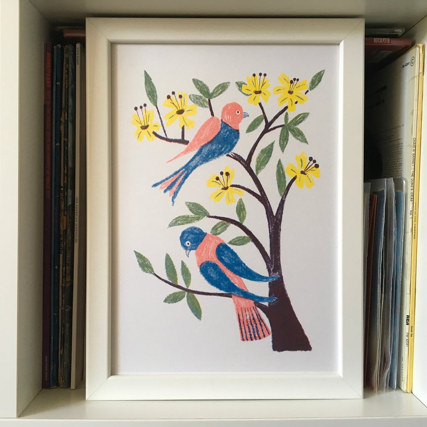 Spring Branches