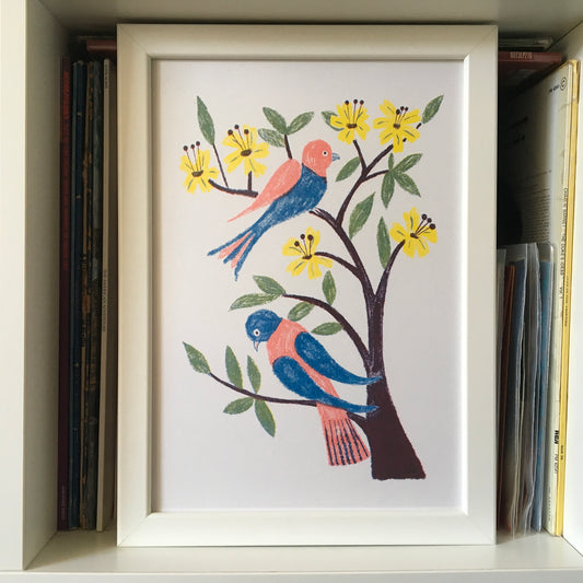 Spring Branches
