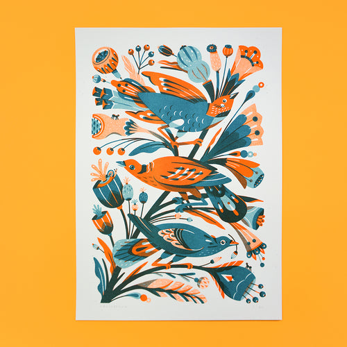 Garden Birds