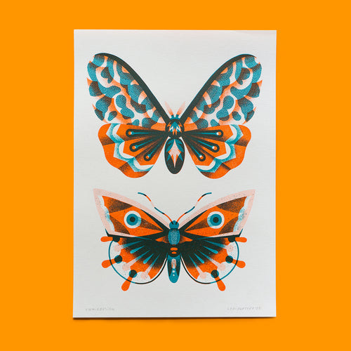 Lepidoptera