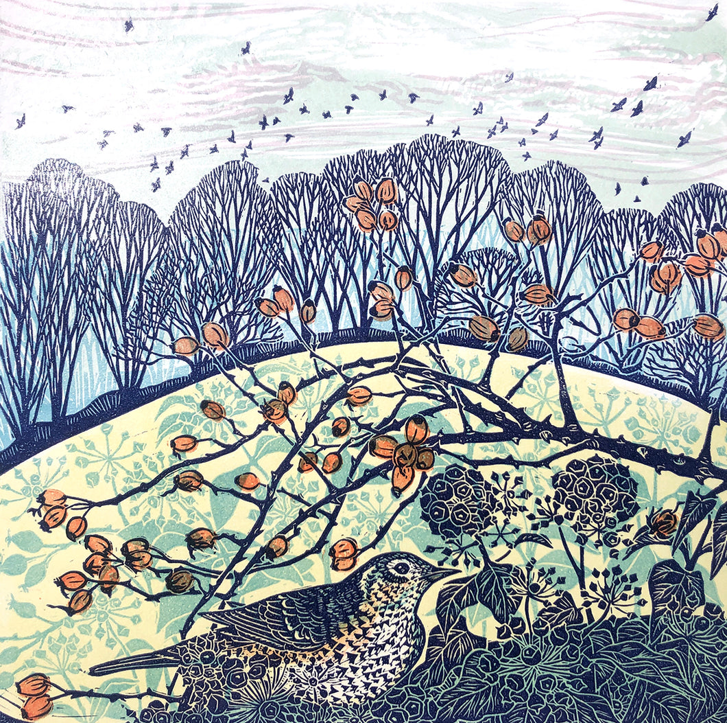 Where the Song Thrush Sings