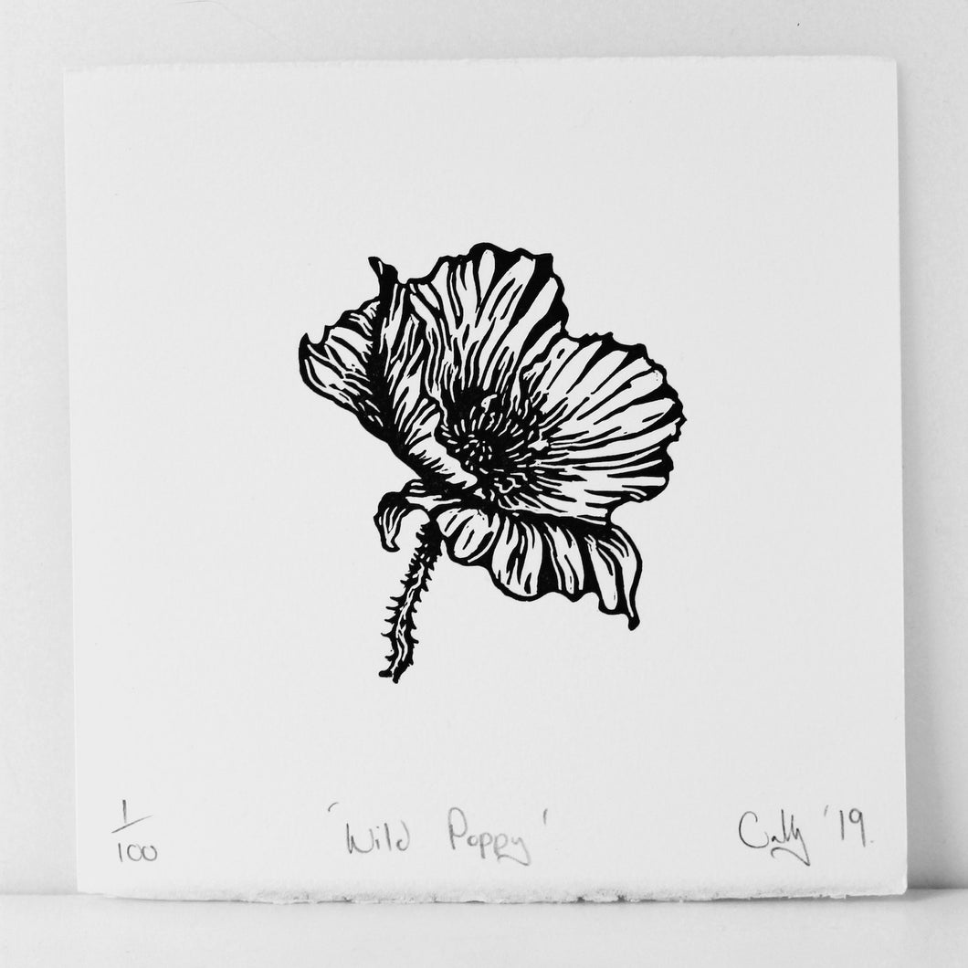 Wild Poppy Print