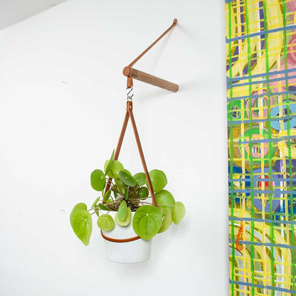 Peg Plant Hanger and Pot Holder