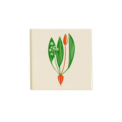 Wild Garlic Coaster