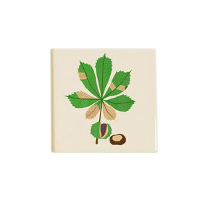 Conkers Coaster