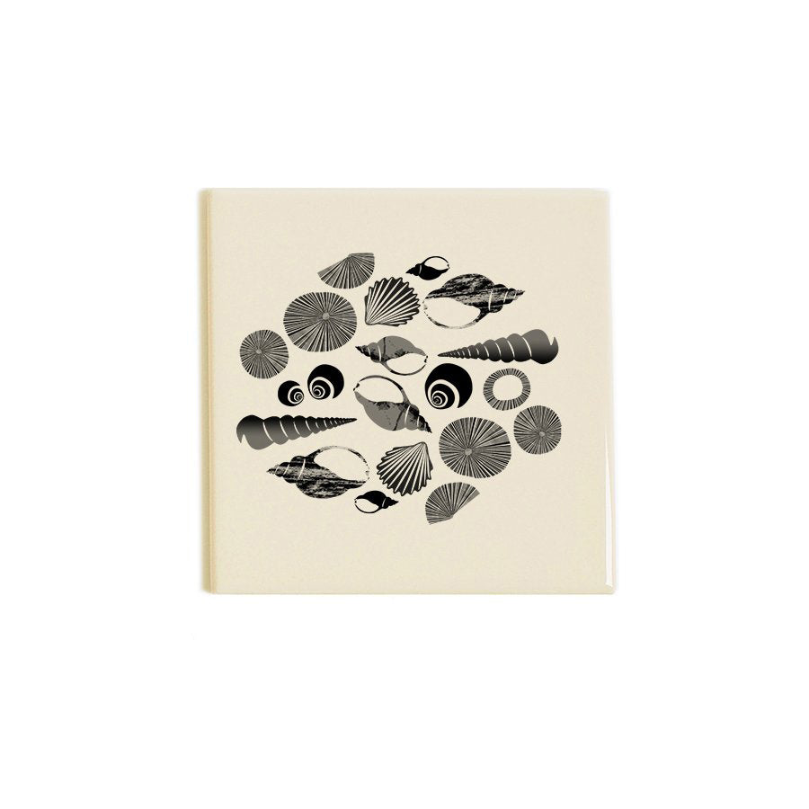 Shells Coaster