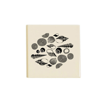 Shells Coaster