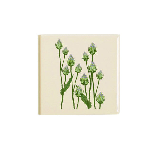 Teasels Coaster