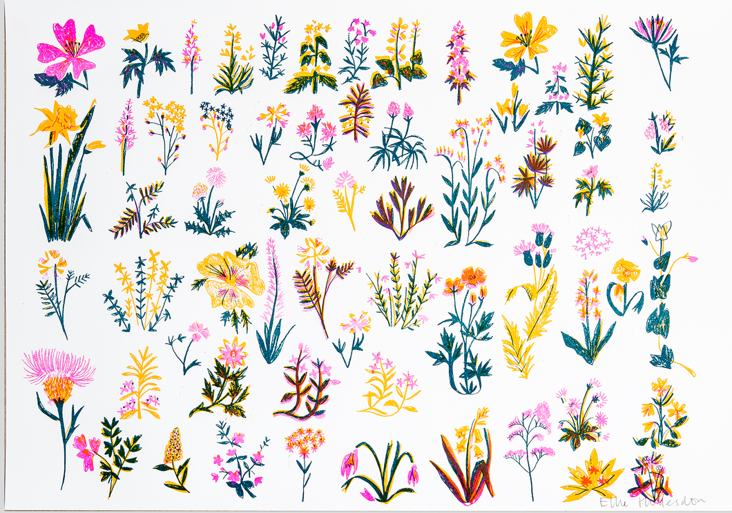 Wildflowers Risograph Print