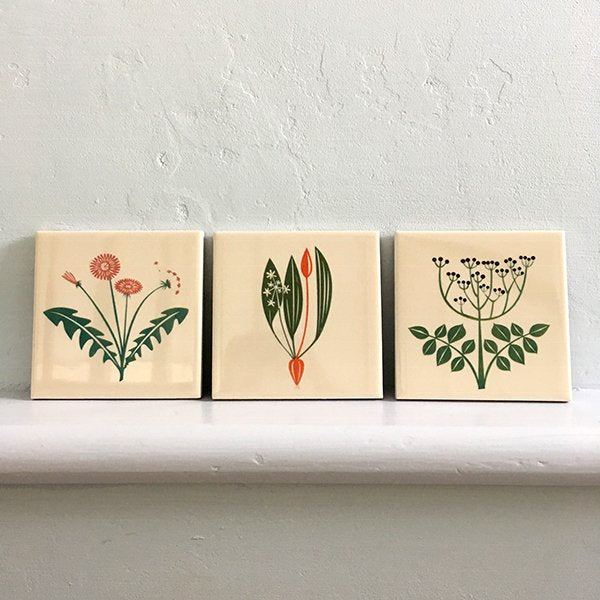 Wild Garlic Coaster