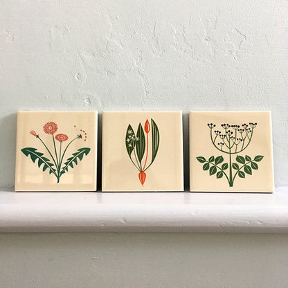 Wild Garlic Coaster