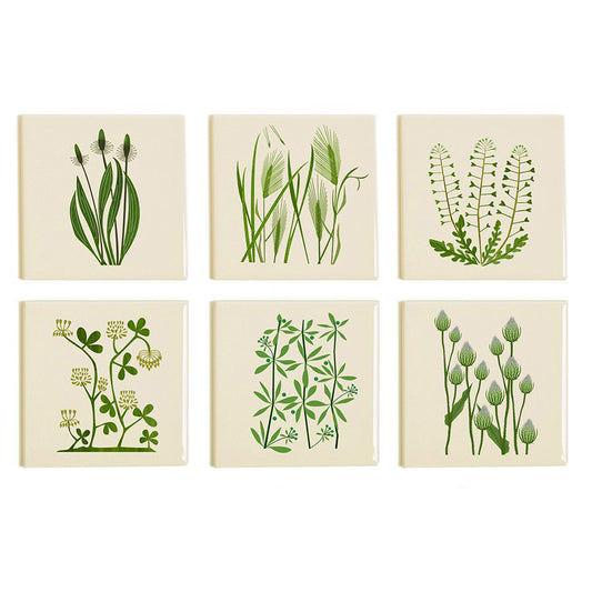 Clover Coaster