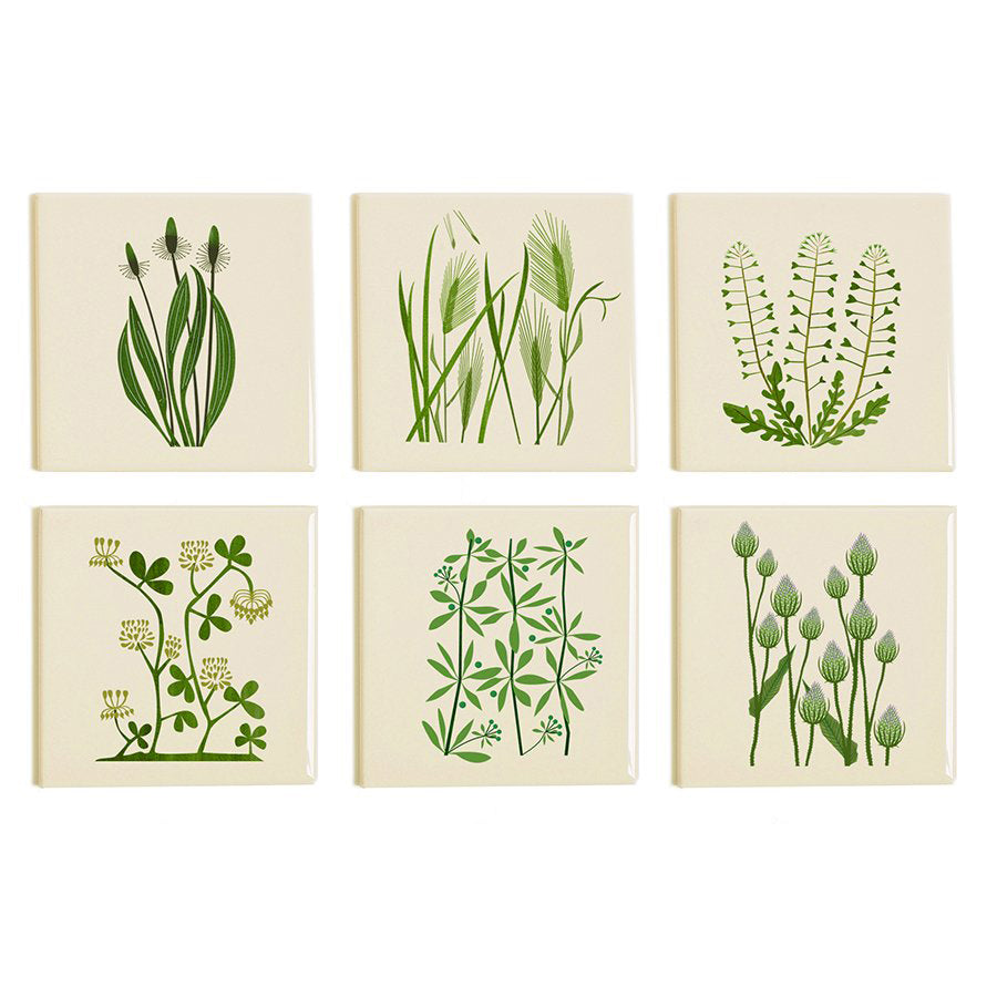 Goose Grass Coaster
