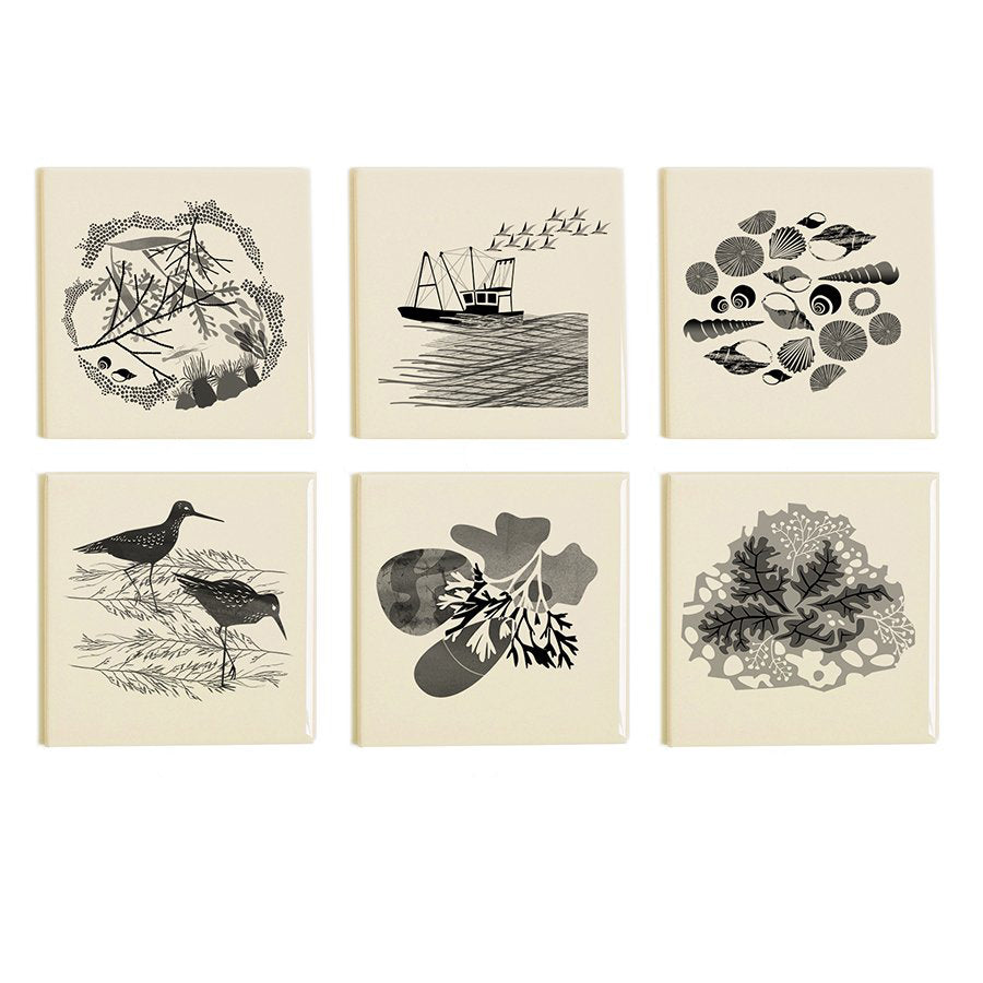 Rock Pool Coaster