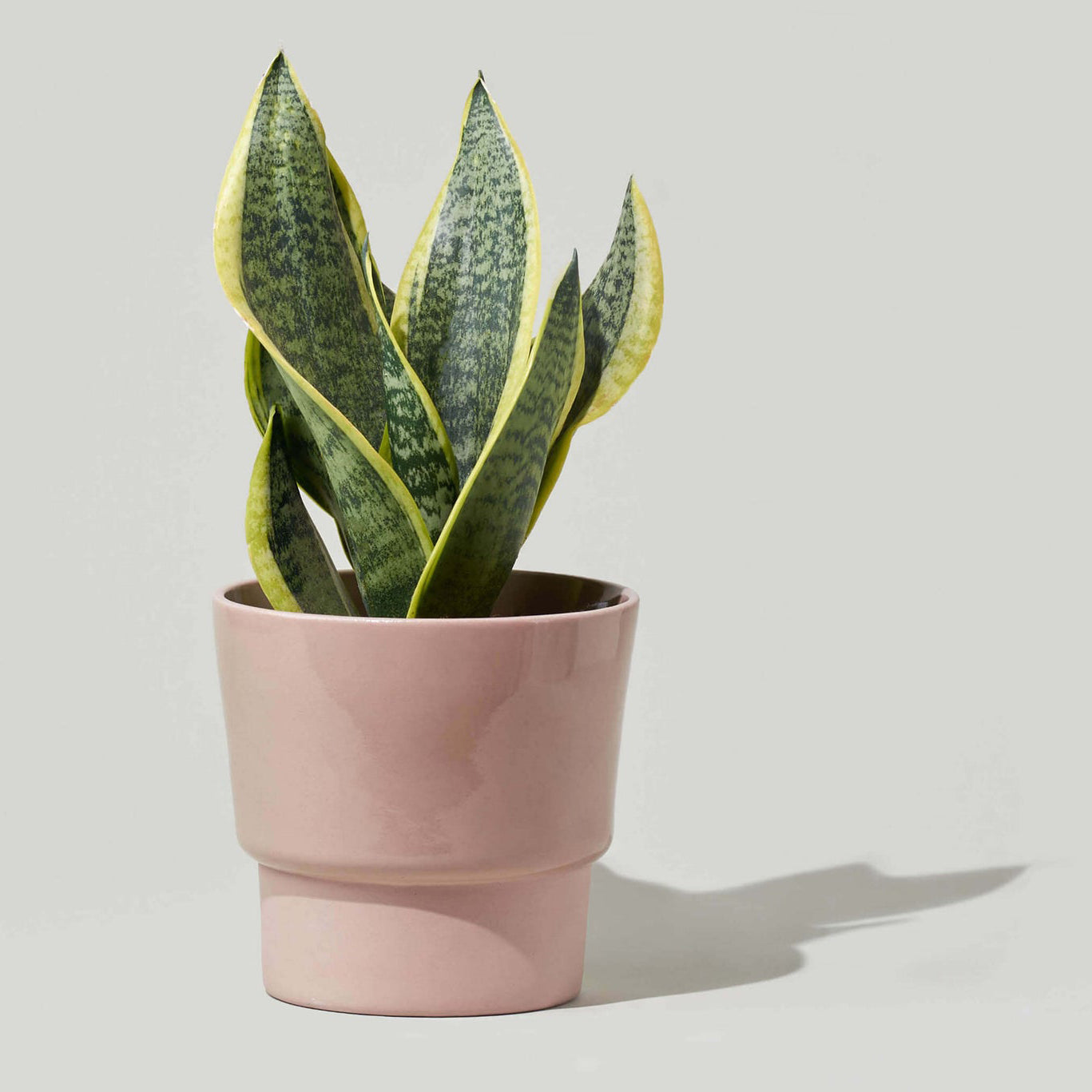 Medium Planter