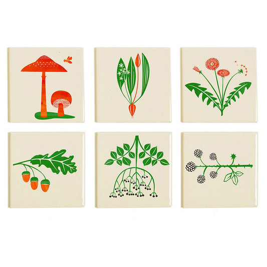 Wild Garlic Coaster