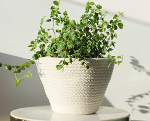 Knotsy Plant Pot