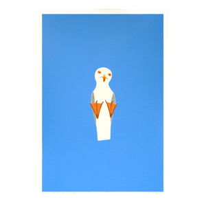 Seagull on Skylight