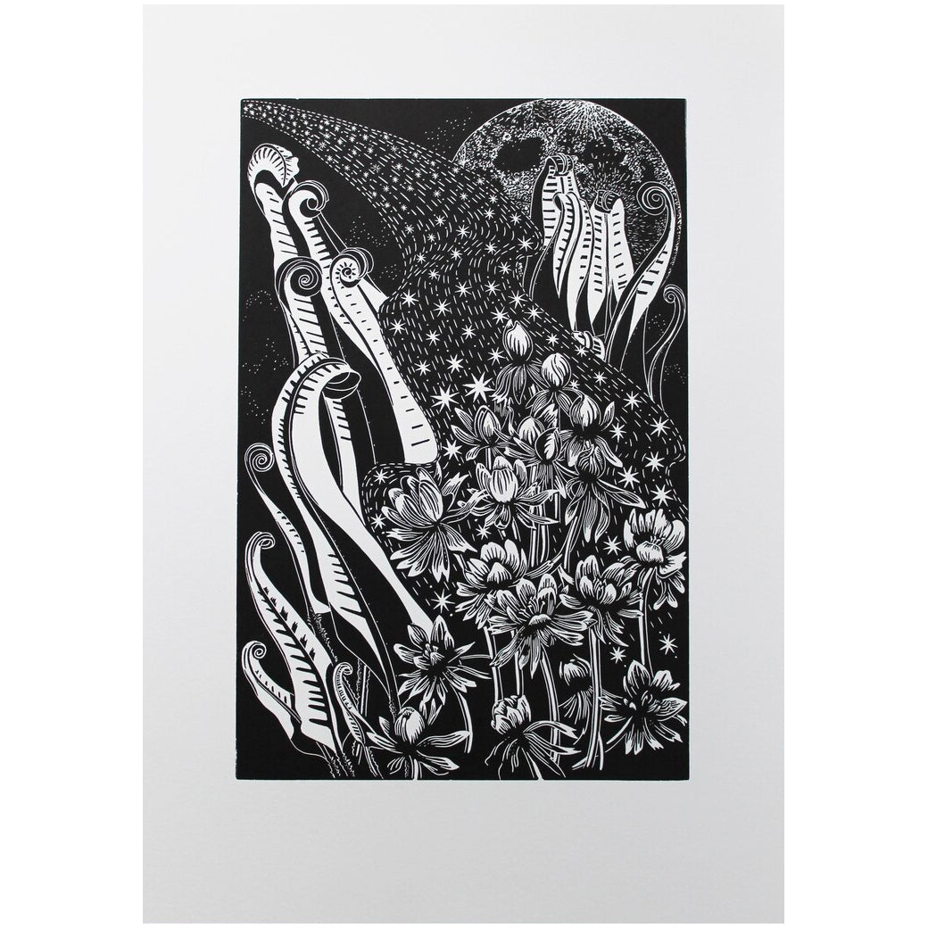 Anemones by Starlight Print